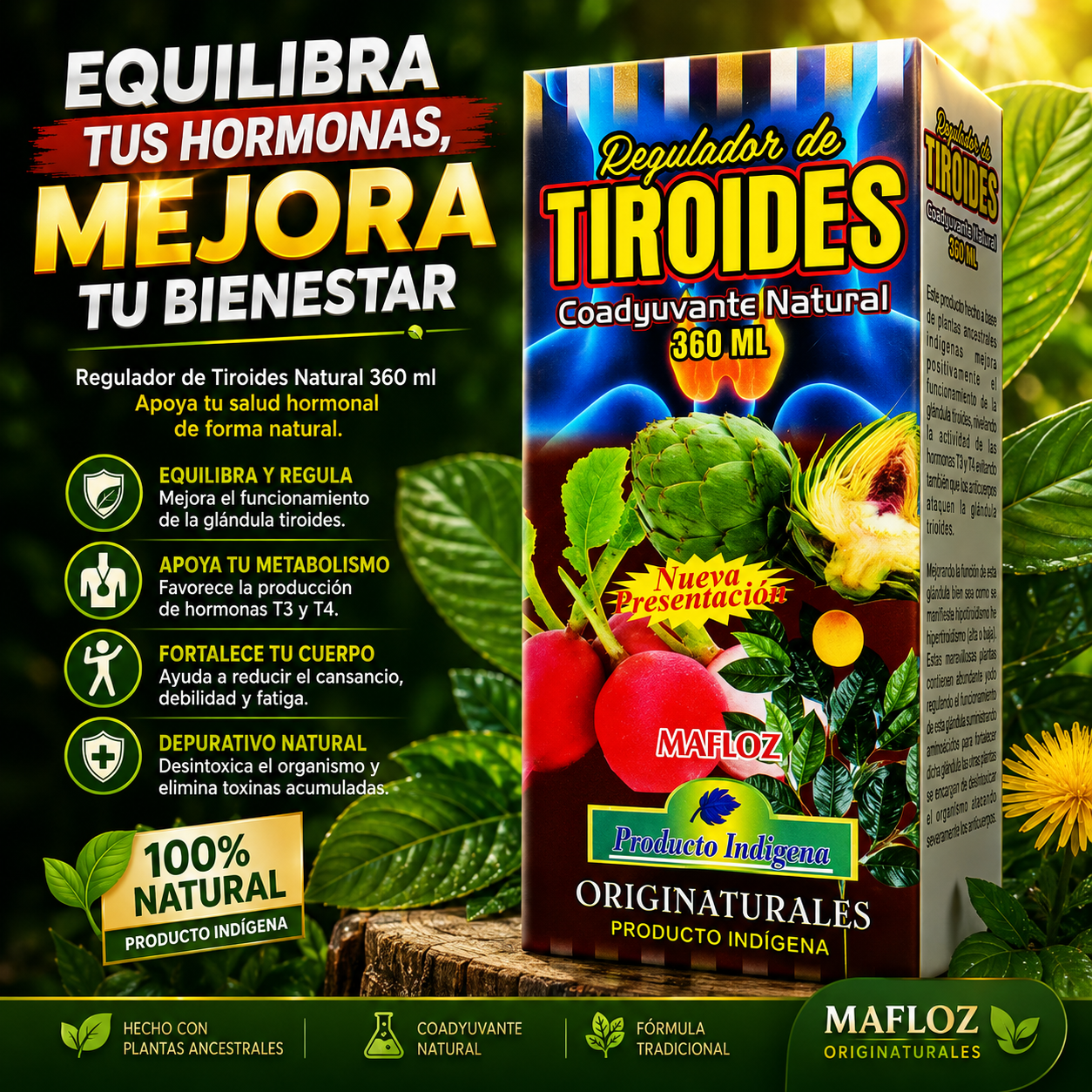 Regulador de Tiroides Mafloz